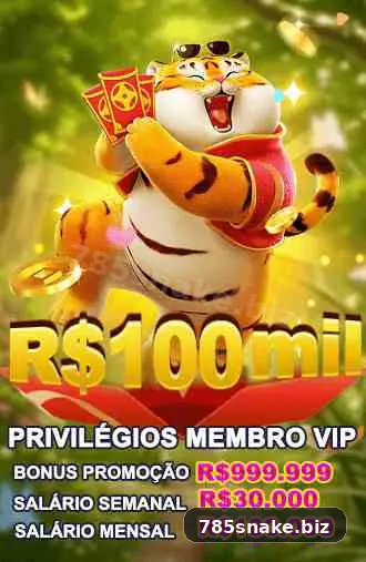785snake — tela de confirmação de transferência PIX de entrada